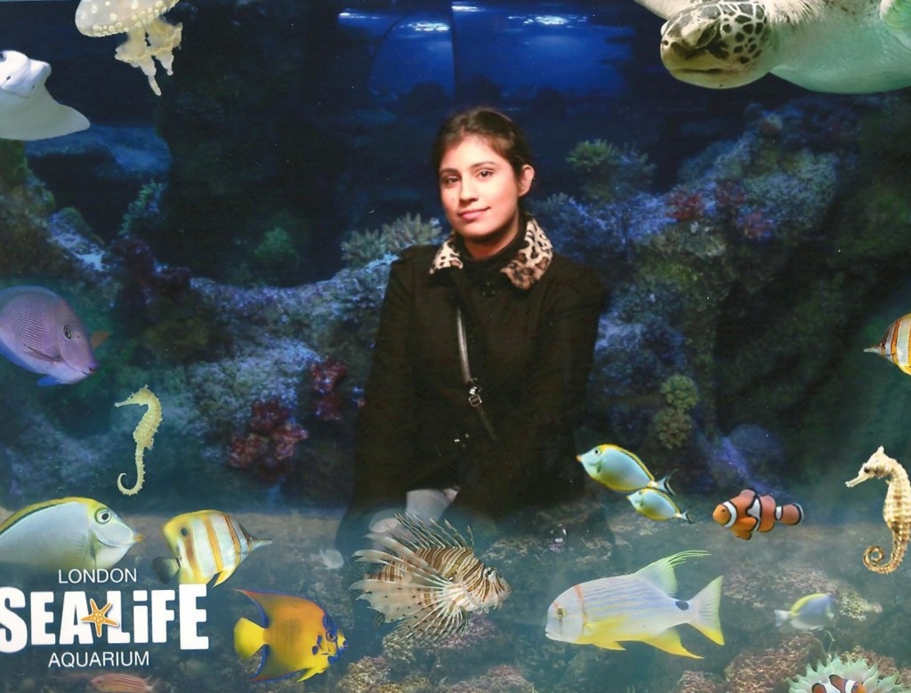 Sea Life Aquarium