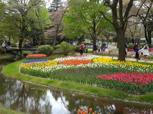 Showa Kinen Park