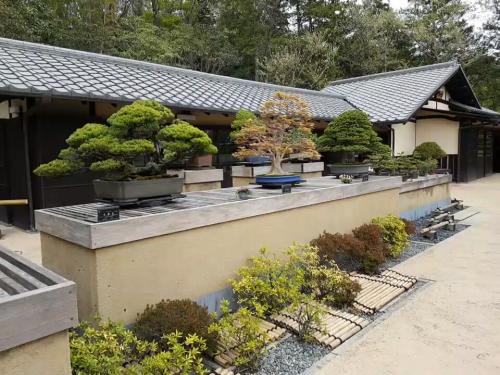 Bonsai MuseumShowa Kinen Park